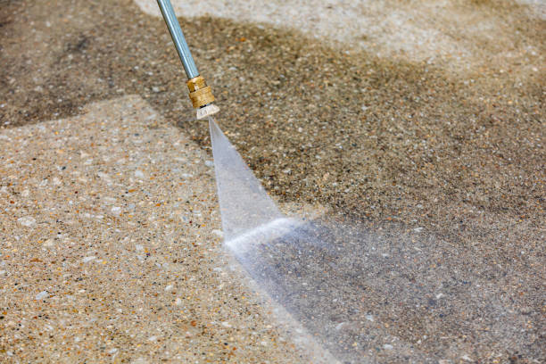 Animal Enclosure Cleaning in Dover, NJ